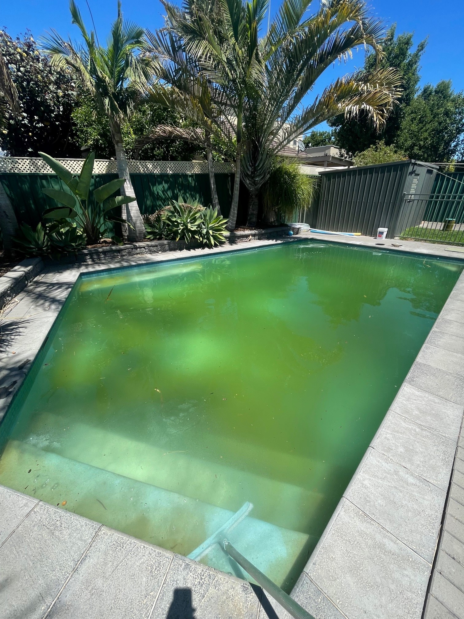 Green Pool Recovery with chemicals 3a Before
